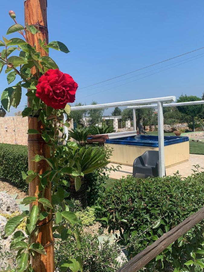 B&B Villa Grassi Alberobello Ngoại thất bức ảnh