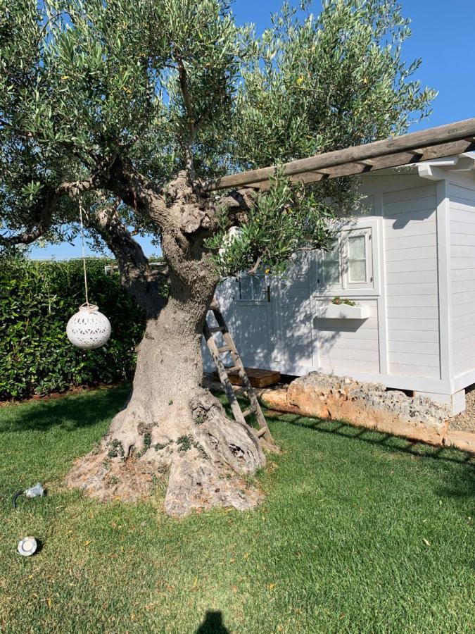 B&B Villa Grassi Alberobello Ngoại thất bức ảnh