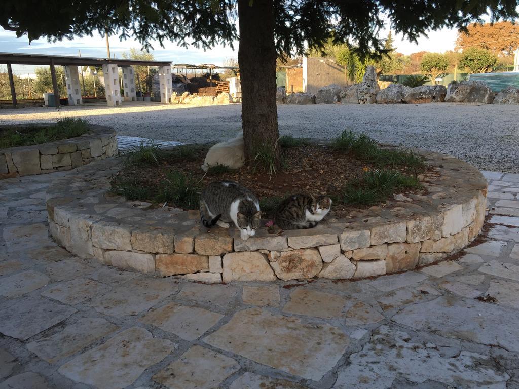 B&B Villa Grassi Alberobello Ngoại thất bức ảnh