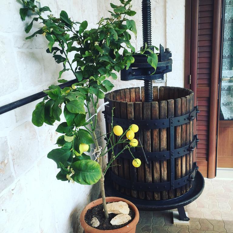 B&B Villa Grassi Alberobello Ngoại thất bức ảnh